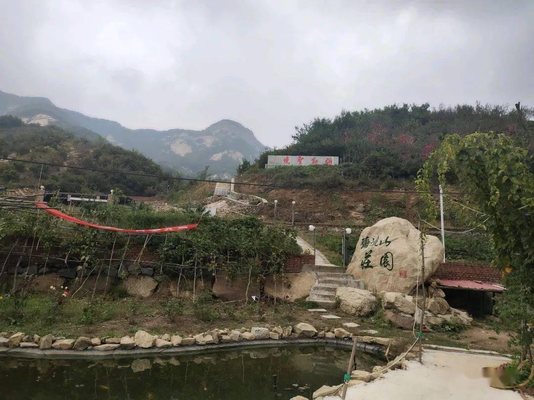 有趣的动物拼图